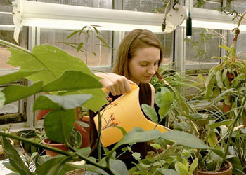 Fiona working in the greenhouse.