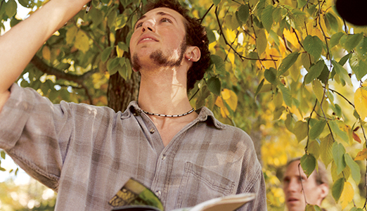 Male student observing leaves