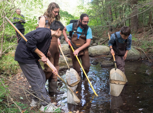 Stream Ecology Class