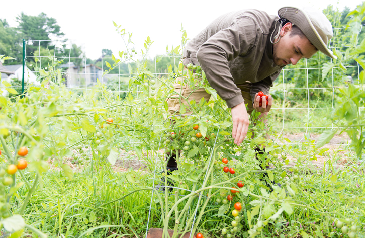 Community Garden