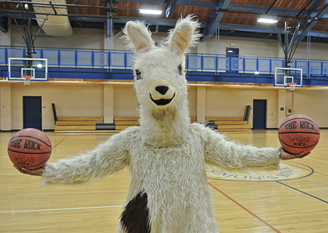 Simon's Rock mascot at a school basketball game