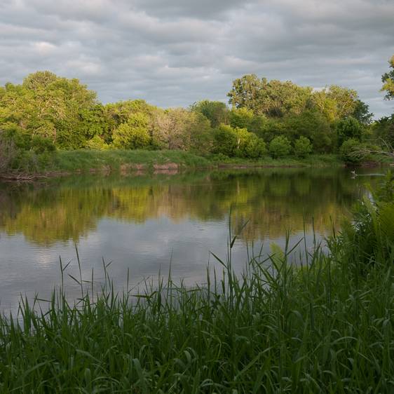 Dan Karp, landscape