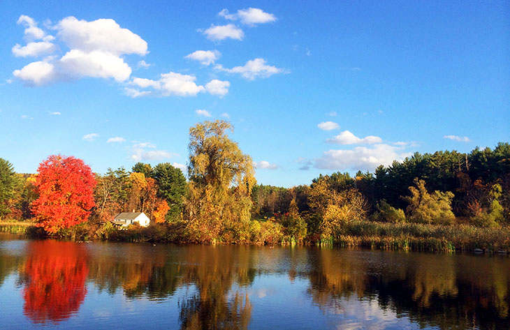 Lower Pond